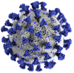 covid 19 virus illustration small 1.png
